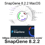 SnapGene-8.2.2.png