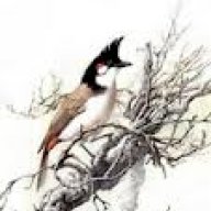 Aduystudio.CMMD